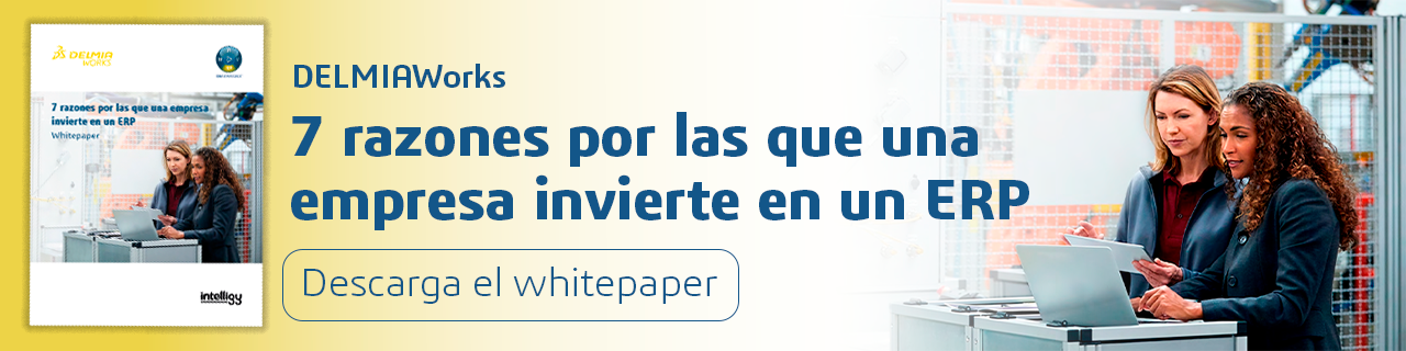 banner-delmiaworks-razones-erp
